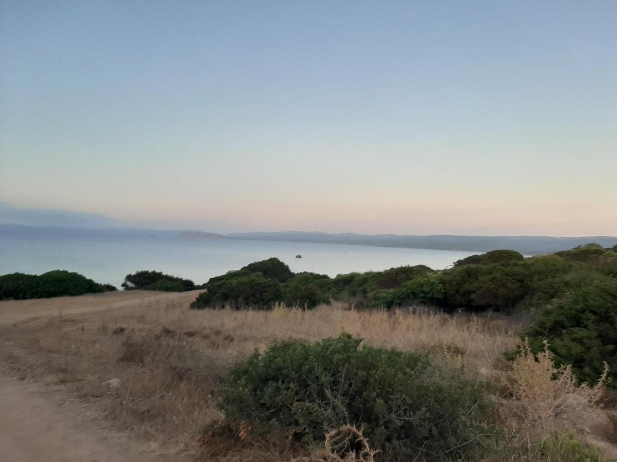 Appartamento Residence Mirice Vignola Mare Aglientu Casa Giorgia Zewnętrze zdjęcie